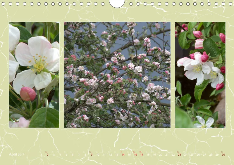2017 Kalender A4 quer (grün)