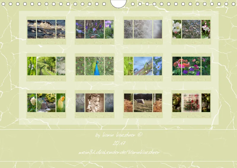 2017 Kalender A4 quer (grün)