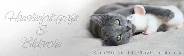 Katrin Windszus