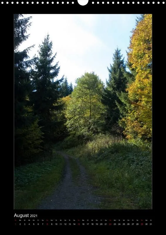 Waldblicke, 2021