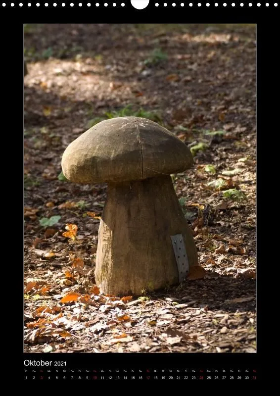 Waldblicke, 2021