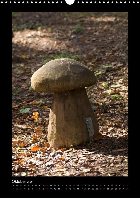 Waldblicke, 2021