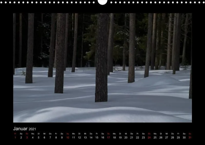 Waldblicke, 2021