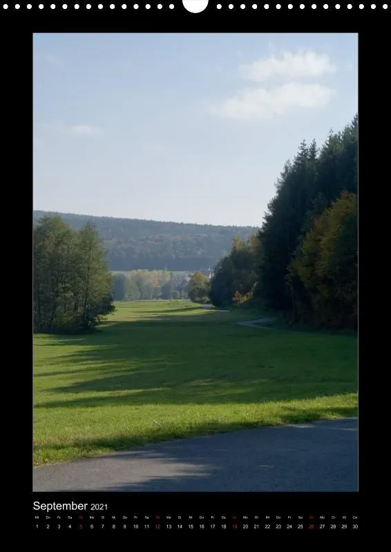 Waldblicke, 2021
