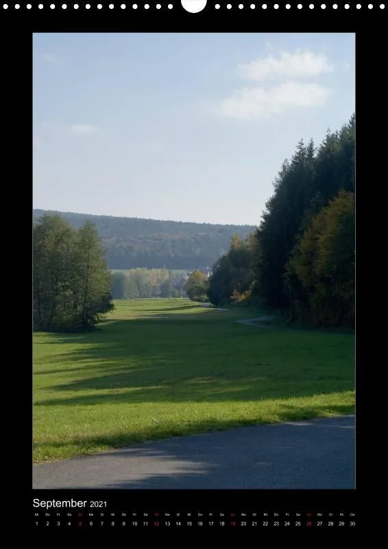 Waldblicke, 2021