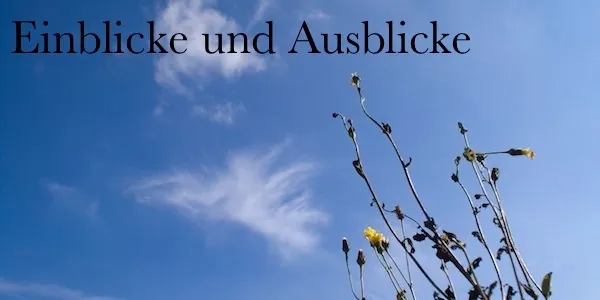 Ausblicke und Einblicke