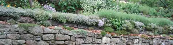 Der Kräutergarten am Sonnenhang