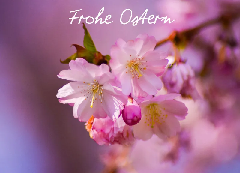 Osterkarte 01