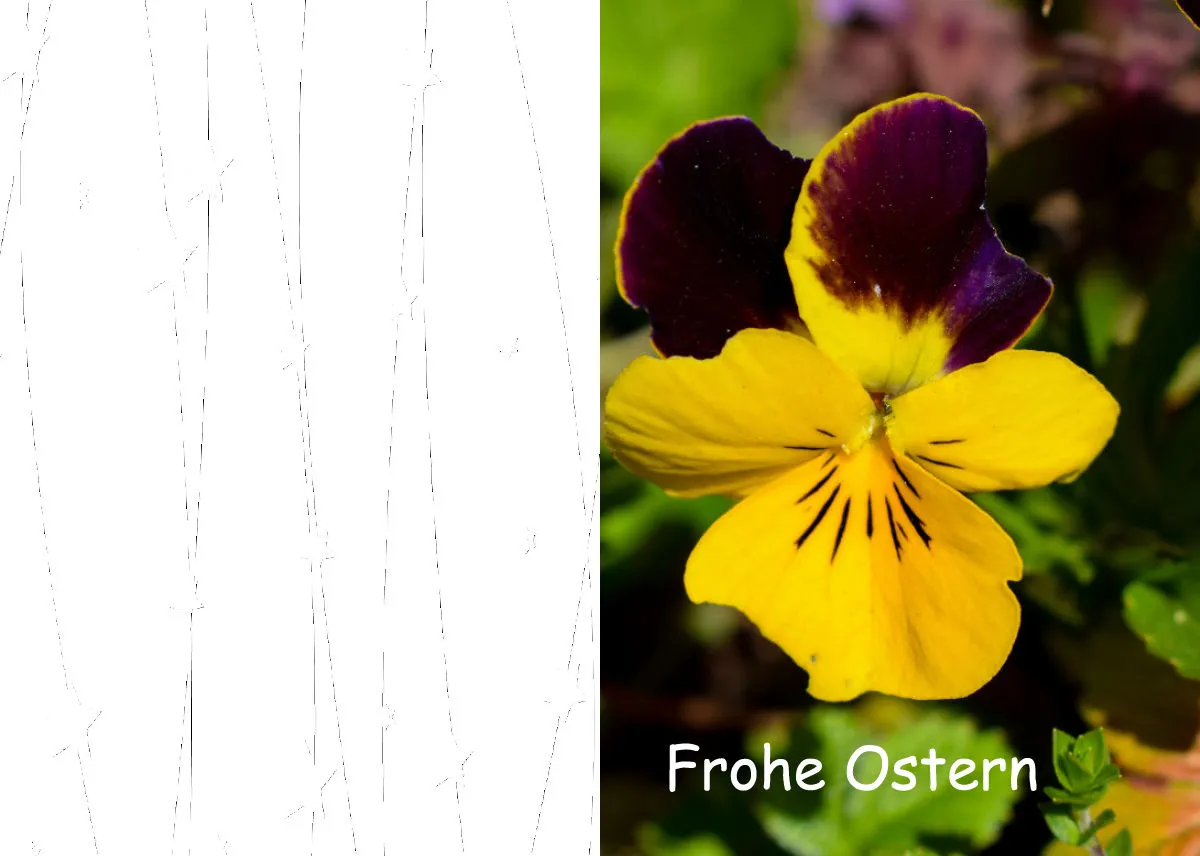 Ostern 04
