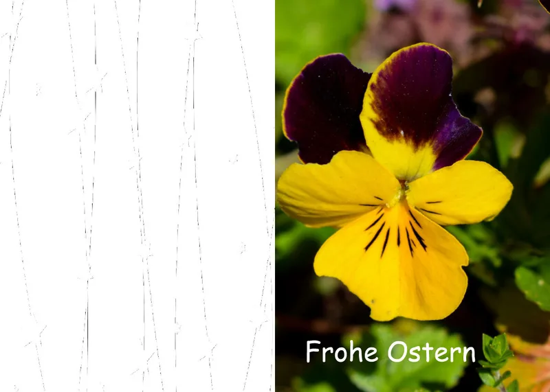 Ostern 04