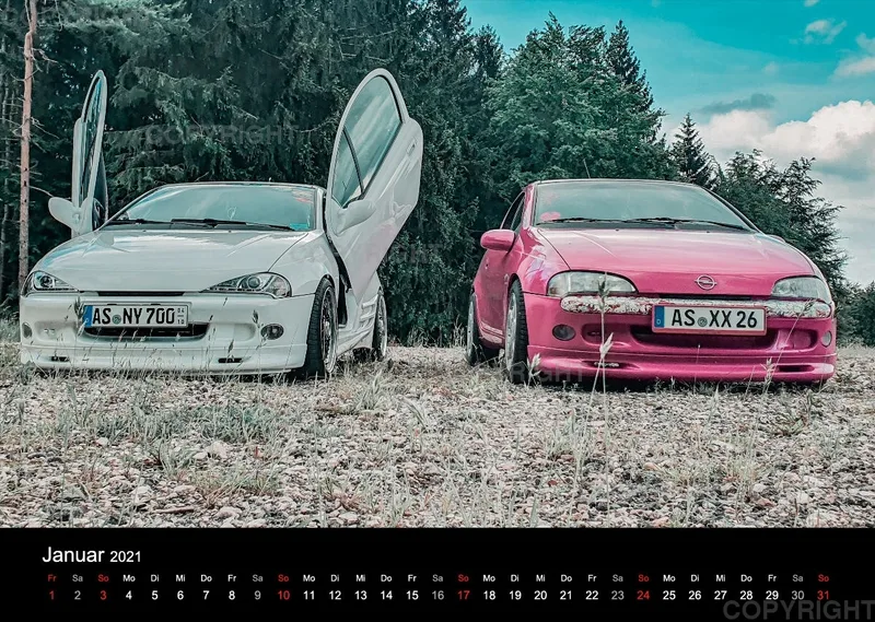 LadyTigra Kalender 2O21