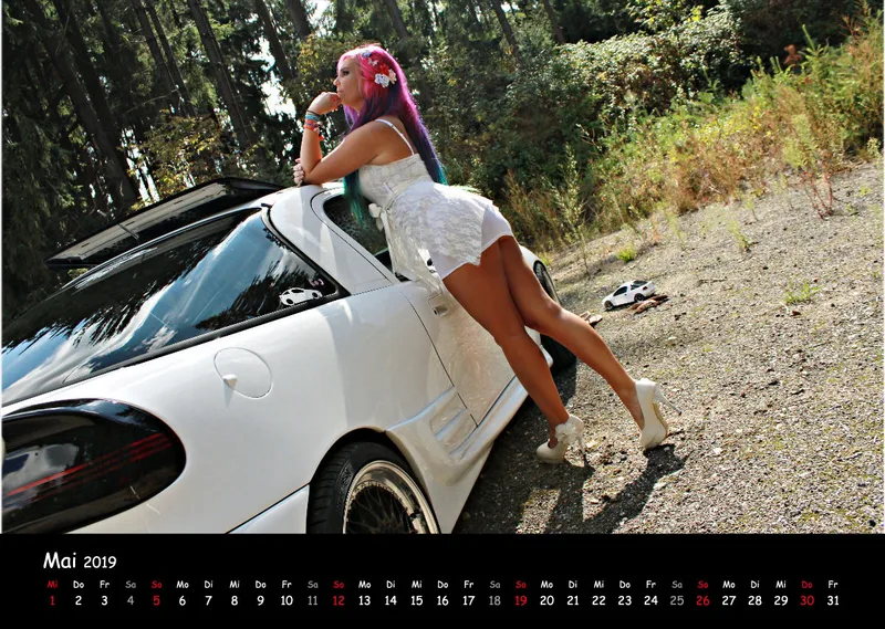 LadyTigras Kalender 2O19