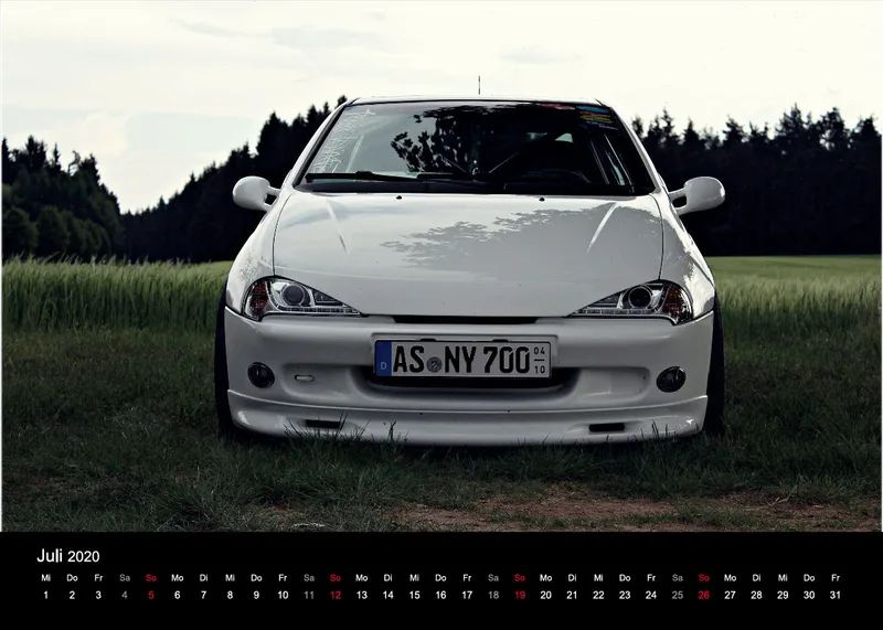 Tischkalender LadyTigra 2O20