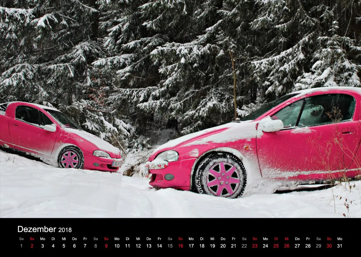 LadyTigras Kalender 2O18
