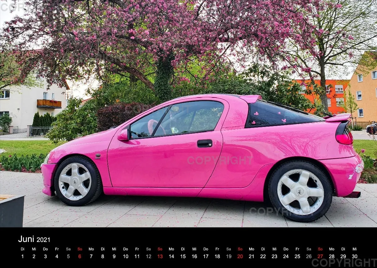 LadyTigra Kalender 2O21