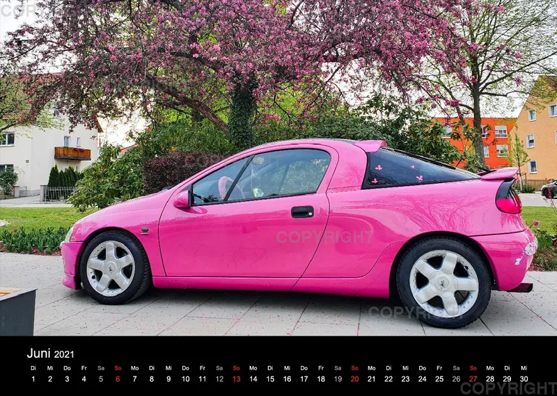 LadyTigra Kalender 2O21