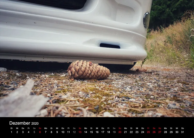 LadyTigra Kalender 2020