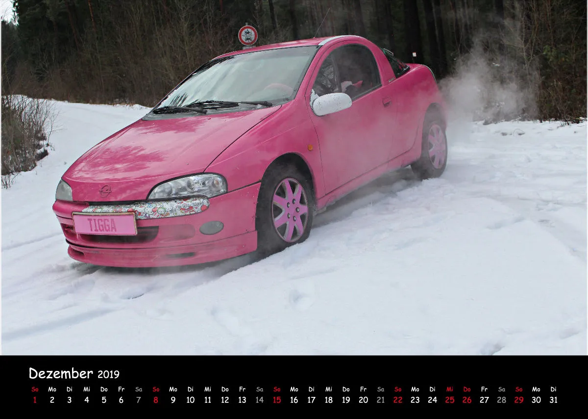 LadyTigras Kalender 2O19