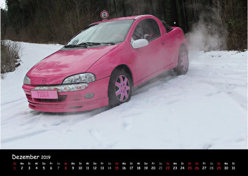 LadyTigras Kalender 2O19