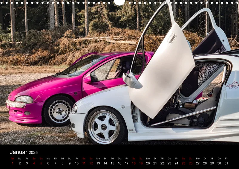LadyTigra Kalender 2025