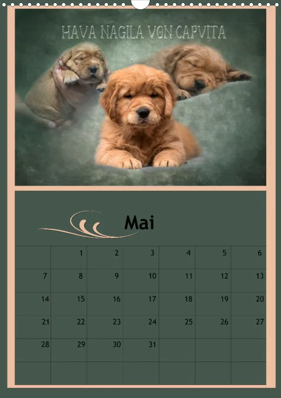 Hava Nagila Planer