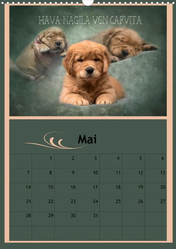 Hava Nagila Planer