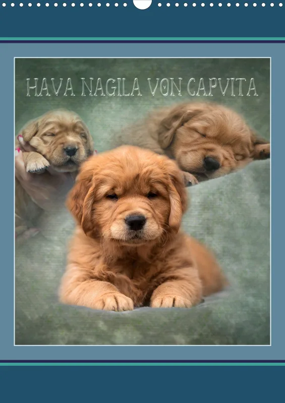 Hava Nagila hoch