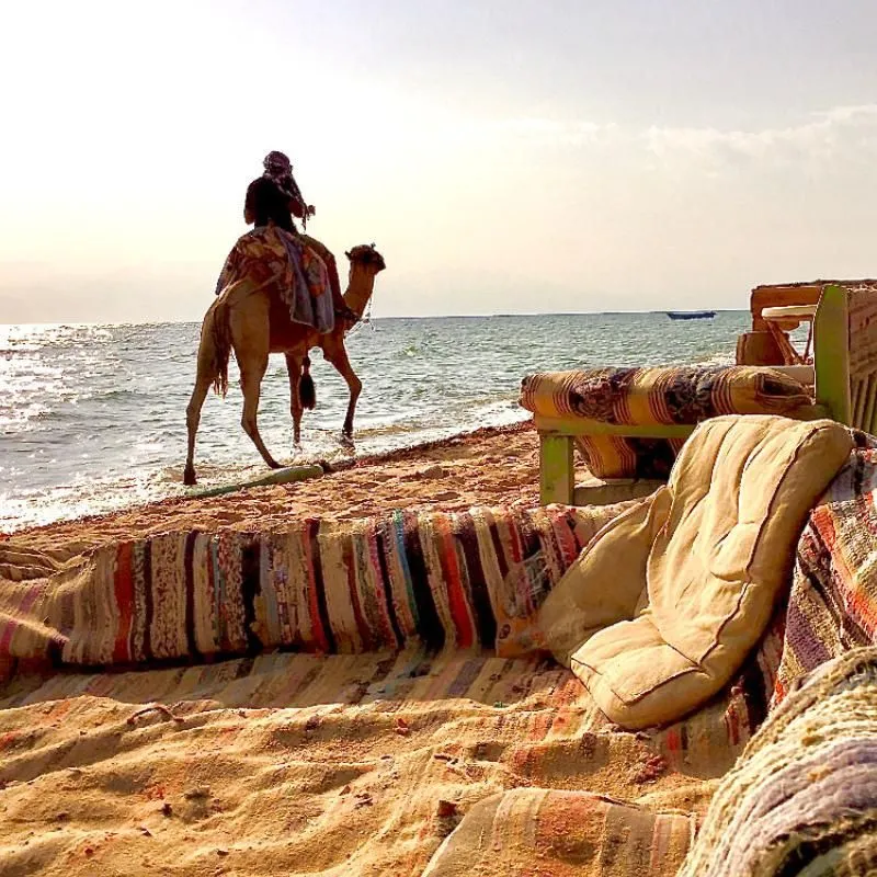 Canvas Bedouin