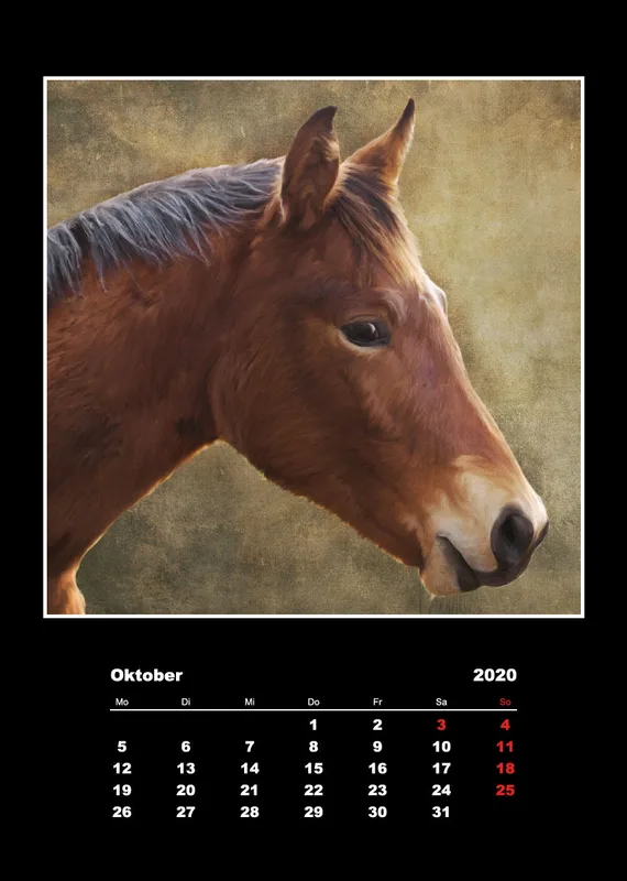 Malerische Tierportraits 2018