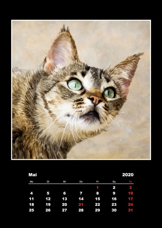 Malerische Tierportraits 2018
