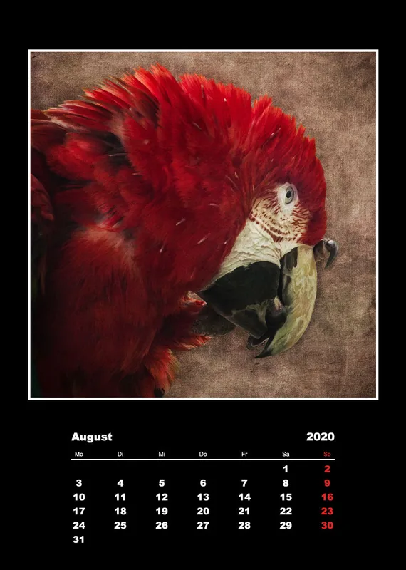 Malerische Tierportraits 2018