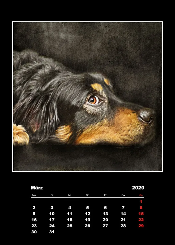 Malerische Tierportraits 2018