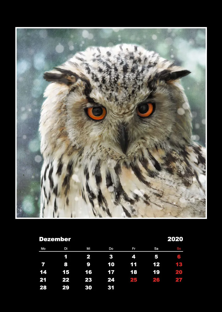 Malerische Tierportraits 2018
