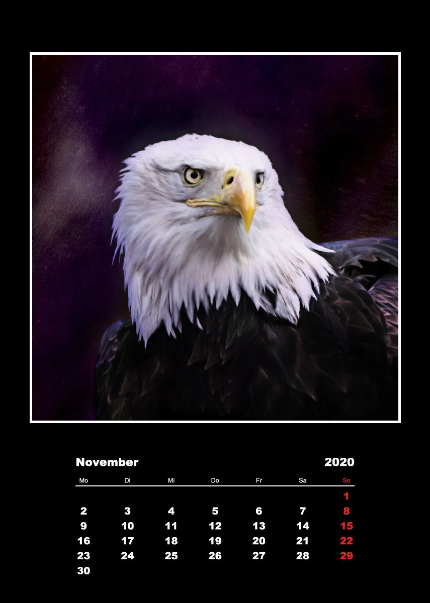 Malerische Tierportraits 2018