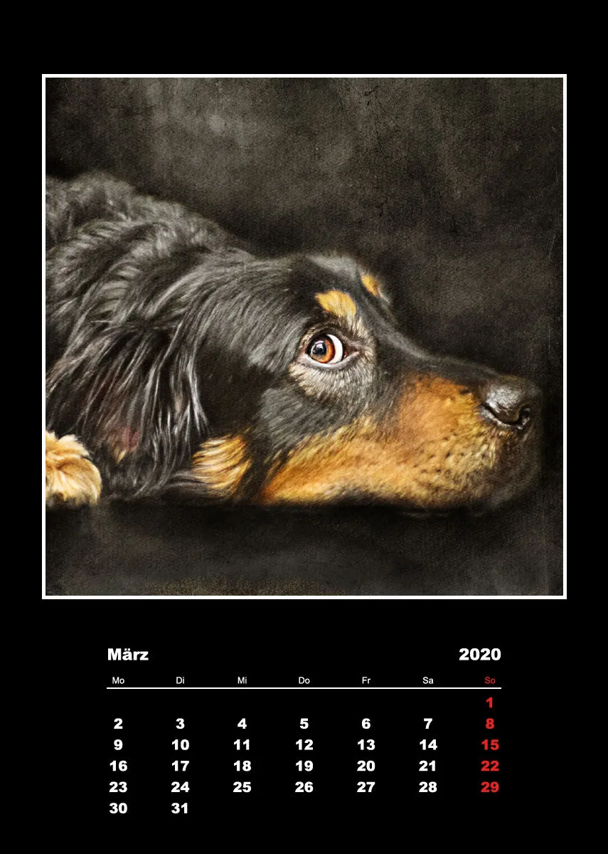 Malerische Tierportraits 2018