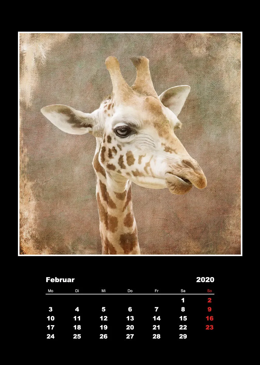 Malerische Tierportraits 2018