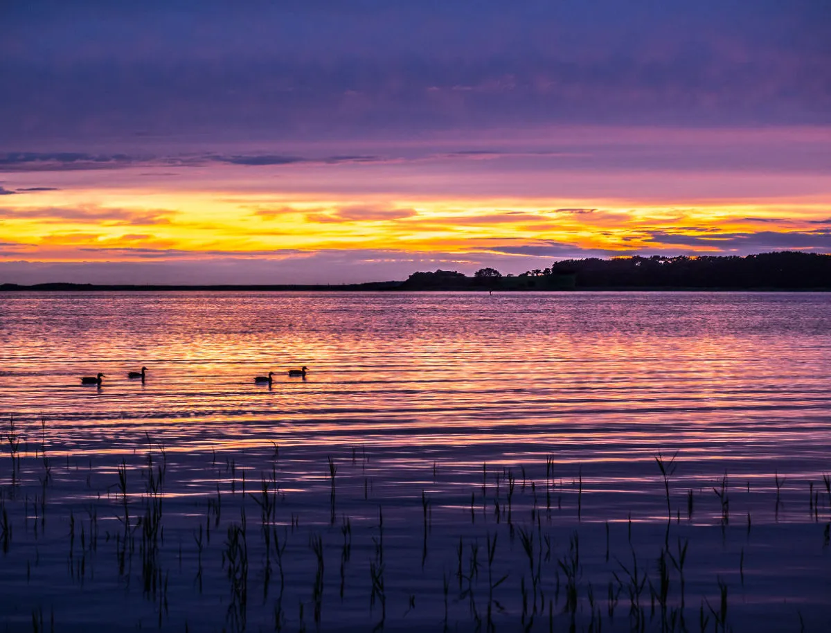 Foto-Leinwand / Usedom_Sonnenuntergang Lila