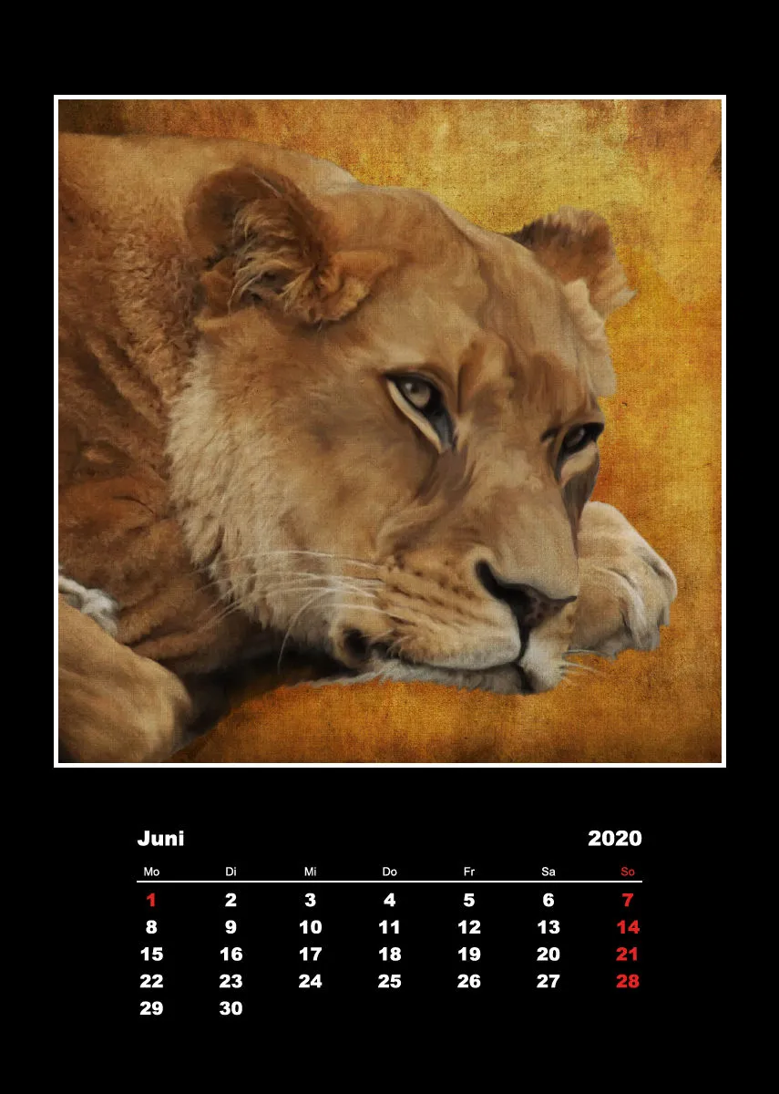Malerische Tierportraits 2018