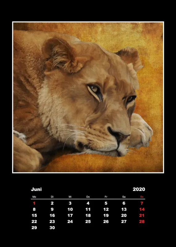 Malerische Tierportraits 2018