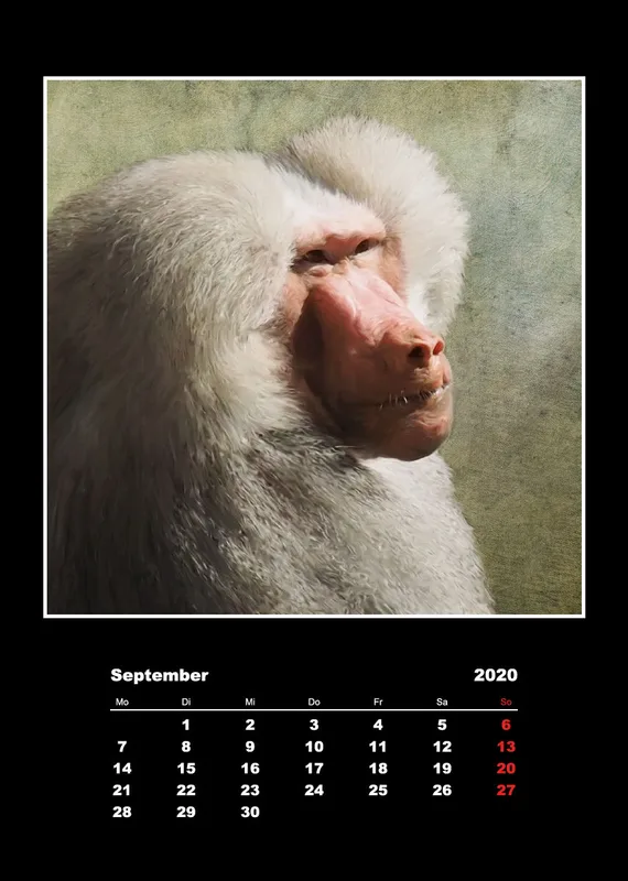 Malerische Tierportraits 2018