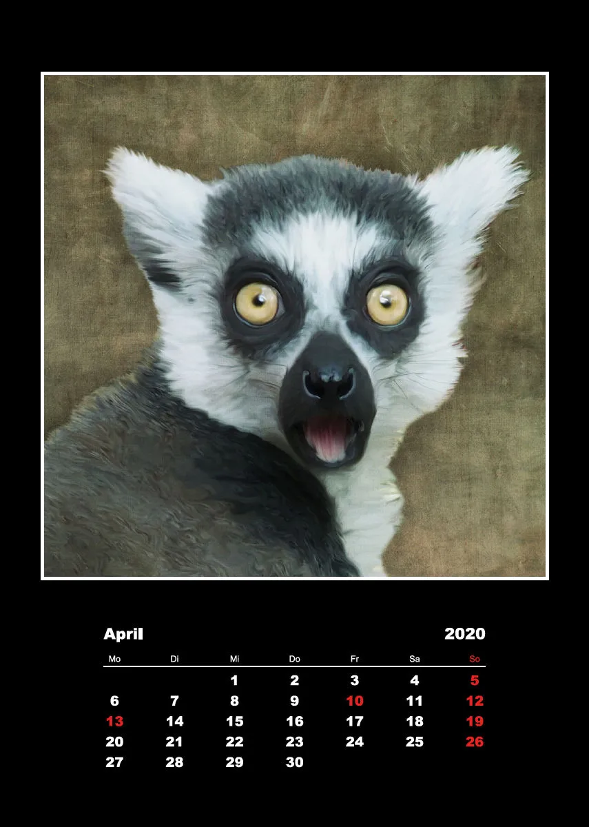 Malerische Tierportraits 2018