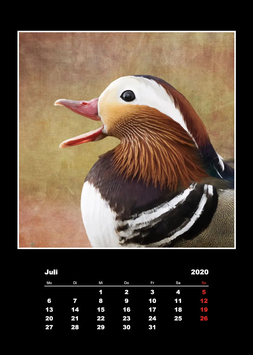 Malerische Tierportraits 2018