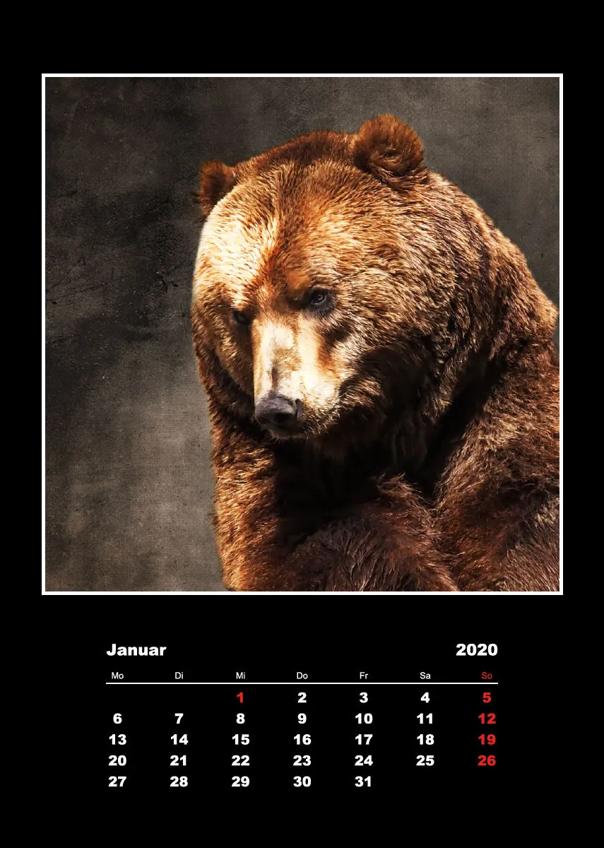 Malerische Tierportraits 2018