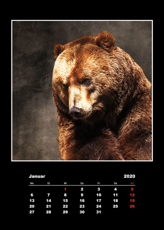 Malerische Tierportraits 2018
