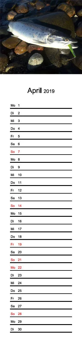 2019 (Design 16') Streifenkalender