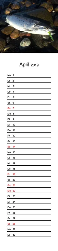 2019 (Design 16') Streifenkalender