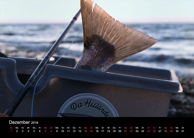 2019 (Design 17') Wandkalender mit schwarzem Kalendarium