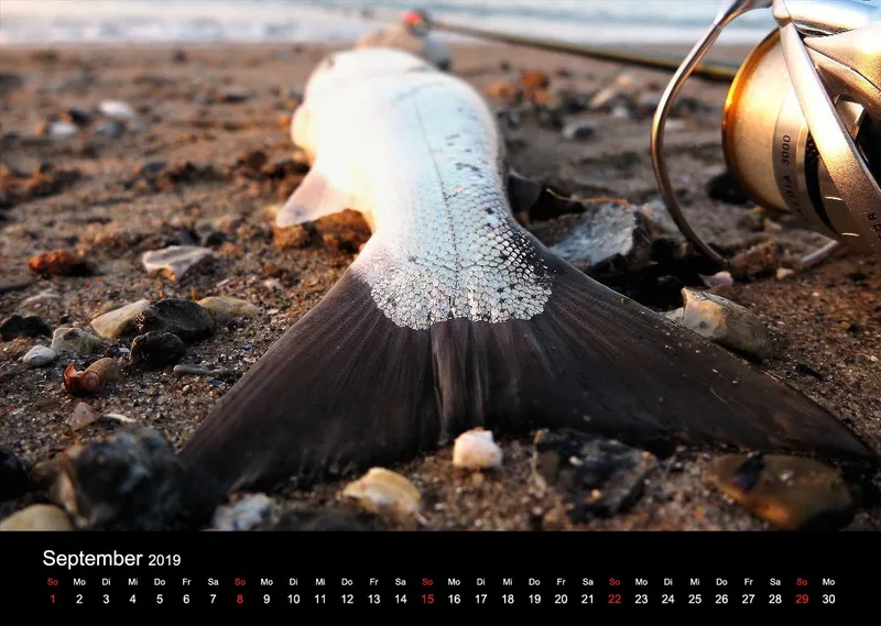 2019 (Design 16') Wandkalender mit schwarzem Kalendarium