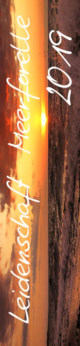 2019 (Design 17') Streifenkalender