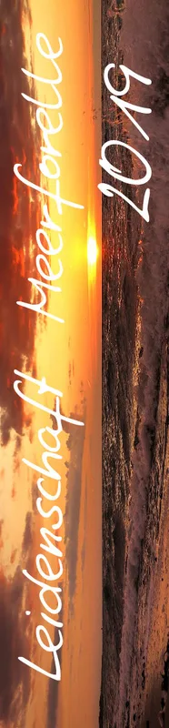 2019 (Design 17') Streifenkalender